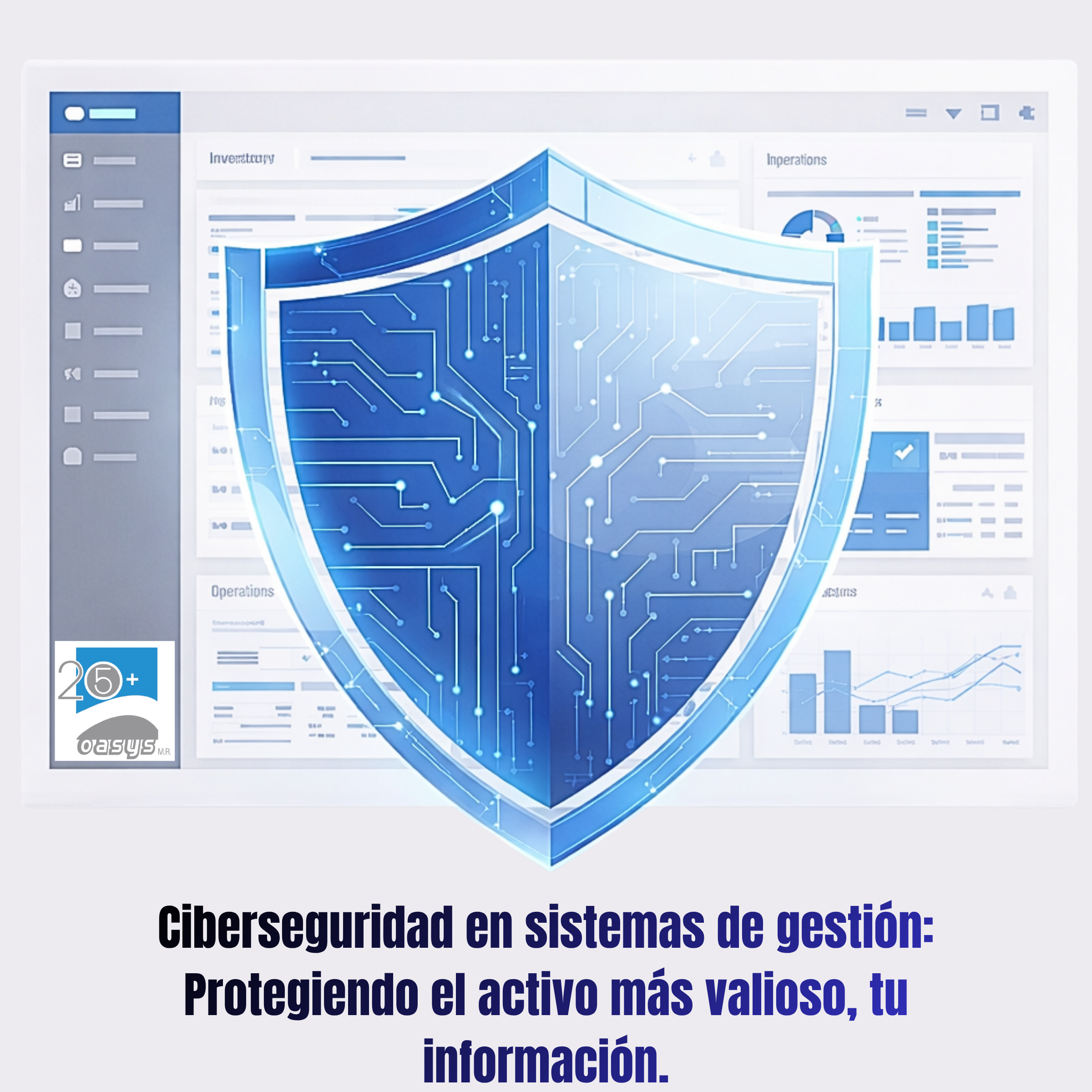 Cybersecurity in Management Systems: Protecting Your Most Valuable Asset, Your Information